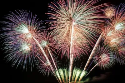 Illustration serpentine - Image 1