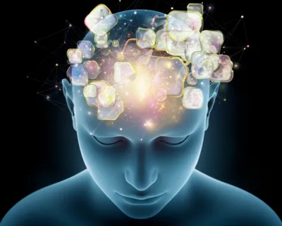 Illustration notion - Image 1