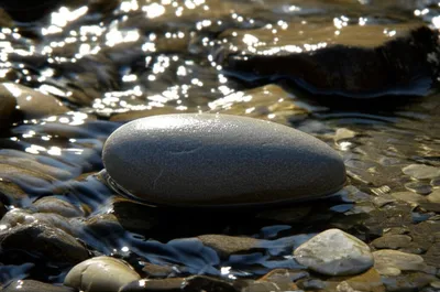 Illustration levigate - Image 1