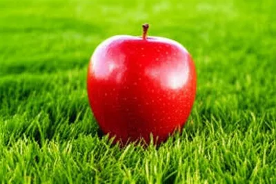 Illustration centers - Image 1