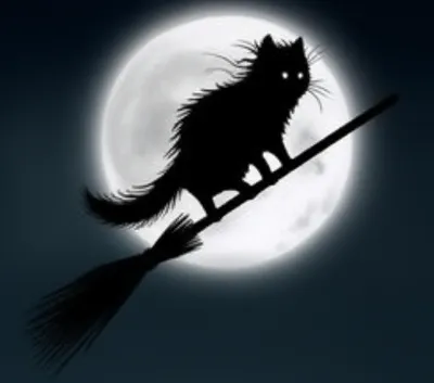 Illustration fly - Image 1