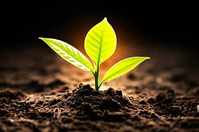 Illustration gift - Image 1