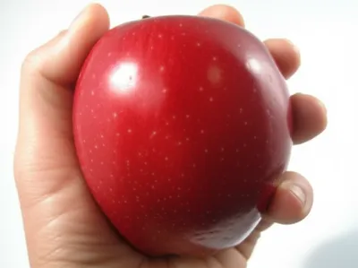 Illustration deforming - Image 1