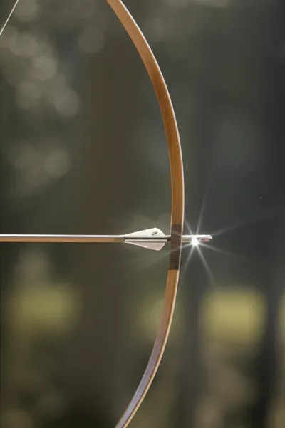 Illustration bowstring - Image 2