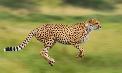 Illustration shooting - Image 1