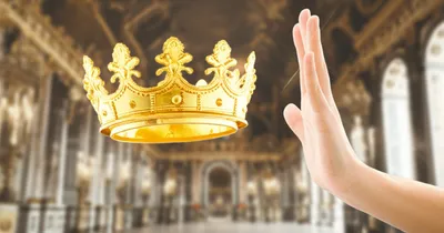 Illustration disclaims - Image 1