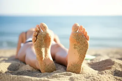 Illustration soles - Image 1