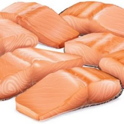 Illustration salmon - Image 1