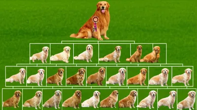 Illustration bloodline - Image 1