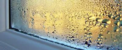 Illustration moist - Image 2