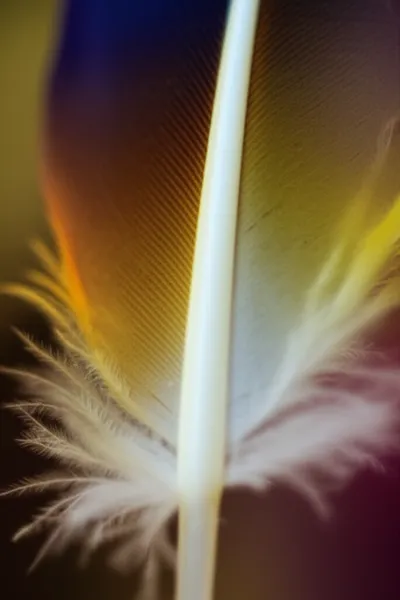 Illustration barrel - Image 1