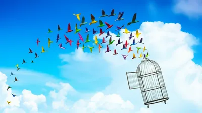 Illustration freedoms - Image 1