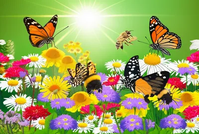 Illustration flowers - Image 1