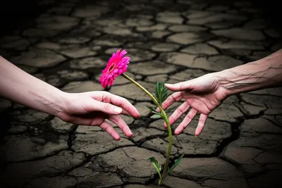 Illustration deprived