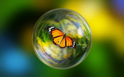 Illustration surrounding - Image 1