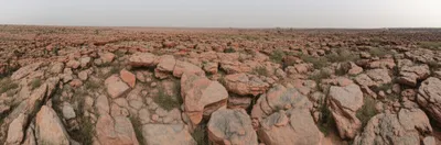 Illustration shields - Image 1