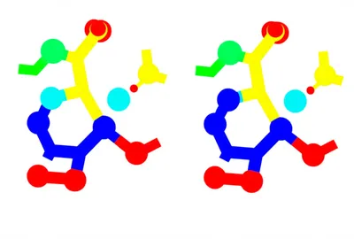 Illustration epimers