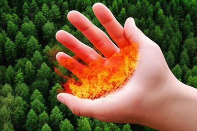 Illustration restrains