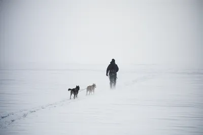 Illustration mush - Image 1