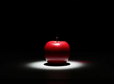 Illustration focal - Image 1