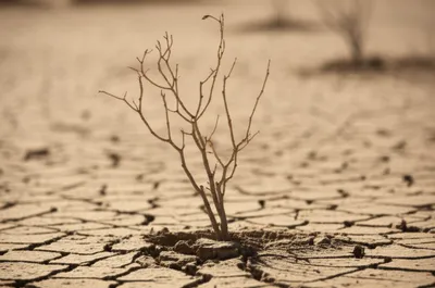 Illustration unendowed