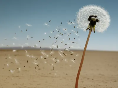 Illustration delocalized - Image 1