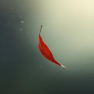 Illustration fell - Image 1