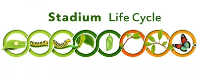 Illustration stadium - Image 1