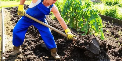 Illustration mucked - Image 1