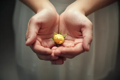 Illustration clasped - Image 1