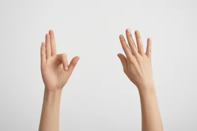 Illustration accents - Image 1