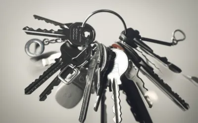 Illustration jangled - Image 1