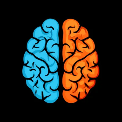 Illustration hemispheres - Image 1