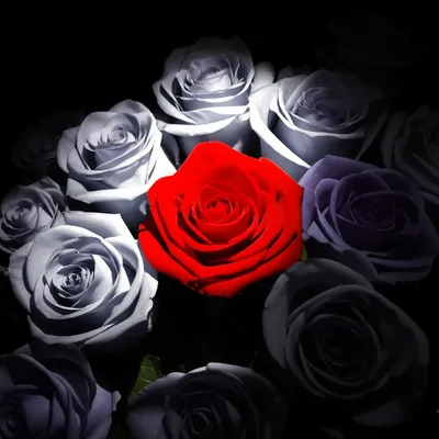 Illustration emphasised - Image 2