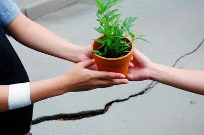 Illustration recompense - Image 1