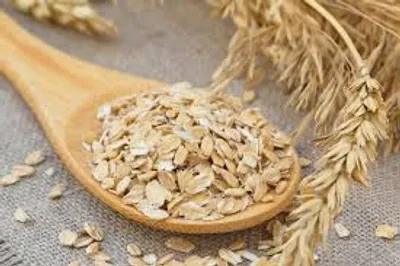 Illustration oat - Image 2