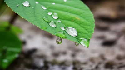 Illustration still - Image 1