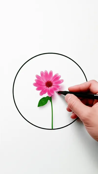 Illustration circumscribes - Image 1