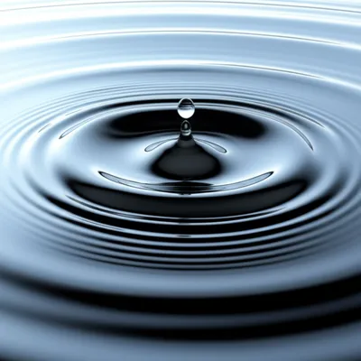 Illustration disturb - Image 1