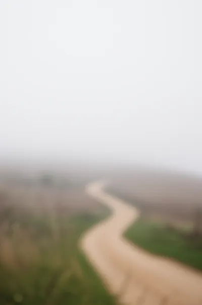 Illustration doubtful - Image 1