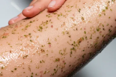 Illustration scrubs - Image 1