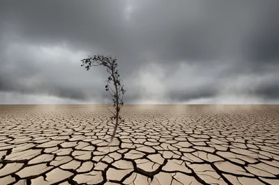 Illustration dusts - Image 1