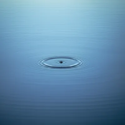 Illustration solicit - Image 1