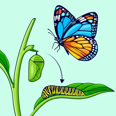 Illustration develops - Image 1