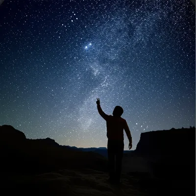 Illustration seeks - Image 1