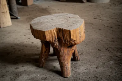 Illustration ruff - Image 1