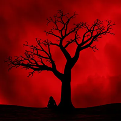 Illustration harrowing - Image 1