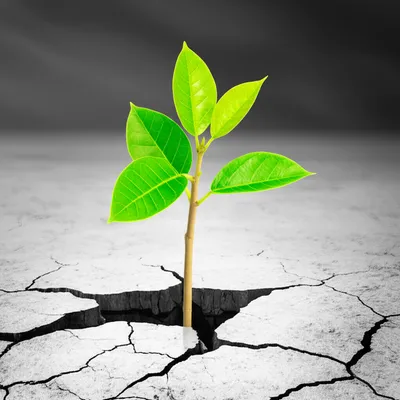 Illustration bulletproof - Image 1