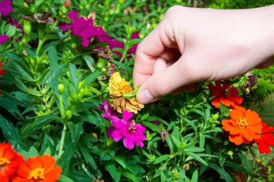 Illustration removes - Image 1