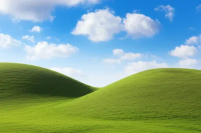 Illustration shoulders - Image 1